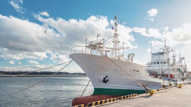 Chủ tàu thuyền đánh bắt cá được tuyển dụng thuyền viên người nước ngoài đảm nhiệm cán bộ thuyền viên hàng hải và quản lý máy
